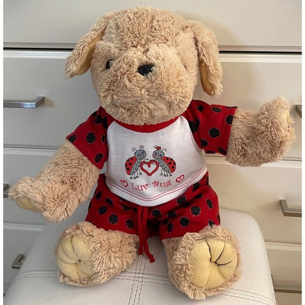 2001 The Bear Factory 16in Stuffed Dog with Luv Bug Outfit